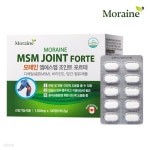모레인 엠에스엠 조인트 포르테 | 프로메딕 - 예스24