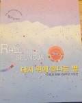 [중고샵] 대지 위에 빛나는 별 (이성자 탄생 100주년 기념전) / 진주시립이성자미술관 | 이성자 | 진주시립이성자미술관 - 예스24