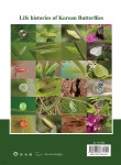 한국 나비애벌레 생태도감 | 이상현 | 광문각 - 예스24