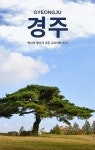 [전자책] 경주 - 예스24 [전자책]경주 - 예스24