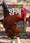 [전자책] 양계 K농업기술길잡이 | 농촌진흥청 | 산책길 - 예스24