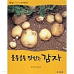 [중고샵] 울퉁불퉁 맛있는 감자 | 글:송소영 | 기탄교육 - 예스24