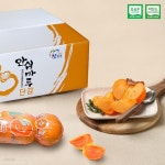 [진주드림] GAP인증 저탄소 진주 단감 5kg(대)/25과 - 예스24