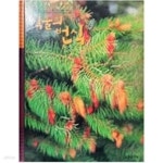 [중고샵] 식물의 번식 - 푸른아이 52 | 차윤정 (글) | 웅진싱크빅 - 예스24