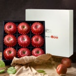 [산과들애] 명품 사과 골드 세트 3kg/9과 - 예스24