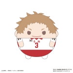 (예약도서) HQ-45 ハイキュ-!! ふわコロりん Msize8 C 夜久衛輔 - 예스24