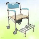 프로 [H18021] 진산 목욕겸용변기 C816-C - 예스24