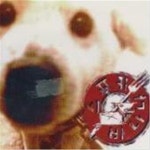 [중고샵] 스푸키 바나나 / 1집 - 스푸키 바나나 - 예스24 [중고샵]스푸키 바나나 / 1집 - 스푸키 ...