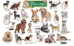 내 친구 강아지와 고양이 - 예스24