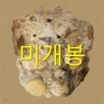 [중고샵] 카더가든 (Car, the garden) - 부재 - 예스24 [중고샵]카더가든 (Car, the garden) - 부재 - 예스24