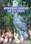 [전자책] 넓적부리황새의 양육방식과 미운 자식 사랑하기 | 이상복 | 유페이퍼 - 예스24