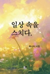일상 속을 스치다. - 예스24