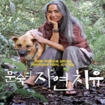 [중고샵] 문숙의 자연 치유 (진정한 자연인으로 살아가는 자연건강식과 치유식, 요가, 명상) - 예스24 [중고샵]문숙의 자연 치유 (진정한... 