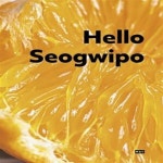[중고샵] 헬로 서귀포 - 예스24 [중고샵]헬로 서귀포 - 예스24