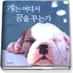 [중고샵] 개는 어디서 꿈을 꾸는가 - 예스24 [중고샵]개는 어디서 꿈을 꾸는가 - 예스24