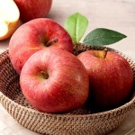 예스24 파트너샵ㅣ농업회사법인 주식회사 사그담