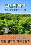 [전자책] 부자연 철학 | 인기남 팔구 | 작가와 - 예스24