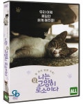[중고샵] 나는 고양이로소이다 (미개봉) | 조은성 | 비디오여행 - 예스24