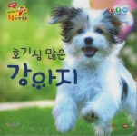 호기심 많은 강아지 - 예스24