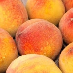 예스24 파트너샵ㅣ농업회사법인 주식회사 사그담