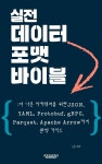 [전자책] 실전 데이터 포맷 바이블 | 김기선 | 콩콩 컴퍼니 - 예스24