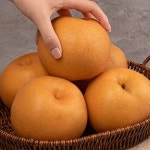 예스24 파트너샵ㅣ농업회사법인 주식회사 사그담