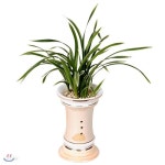 [전국꽃배달] 대국 - 예스24