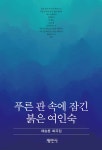 푸른 관 속에 잠긴 붉은 여인숙 | 채승훈 | 평민사 - 예스24