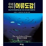 [중고샵] 우리바다 어류도감 (하드커버) | 명정구 | 다락원 - 예스24