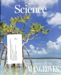 2024-0203-0628 | Science (주간) : 2026년 06월 04일 | 편집부 - 예스24