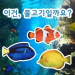 생선필통 흰동가리 블루탱 옐로탱 | 몬스터커머스 - 예스24