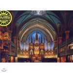 노틀담 대성당 (TOM 50-043) | 직소퍼즐 | (주)토이앤퍼즐 - 예스24
