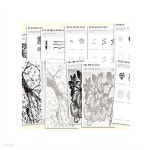 업스쿨 수묵화 기초 익히기 세트 6인용 C112 | 학습교재 | 프리미엄오피스 - 예스24