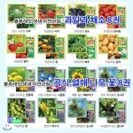 자연관찰 과일과 채소 8권+곡식.열매.나무.꽃 8권 세트(전16권)/딸기.수박.사과.포도.토마토.귤.배추.감자.벼.콩.옥수수.민들레.나팔꽃.해바라기.... 