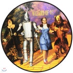 오즈의 마법사 영화음악 (Wizard of Oz OST by Herbert Stothart 허버트 스톳하트) [픽쳐 디스크 LP] | Herbert Stothart | Real Gone... 