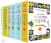 한국 야생화 식물도감·동의보감 약초 대백과 세트 - 예스24