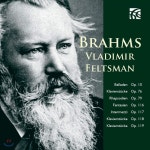 Vladimir Feltsman 브람스: 발라드, 간주곡, 소품 외 - 블라디미르 펠츠만 [피아노 독주집] | Johannes Brahms | Nimbus Records - 예스24
