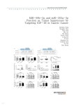 MiR-99b-5p and miR-203a-3p Function as Tumor Suppressors by Targeting IGF-1R in Gastric Cancer - YES24
