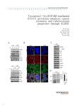 YES24  Tescalcinc-SrcIGF1Rβ-mediated STAT3 activation enhances... stemness and radioresistant properties through ALDH1 - YES24