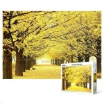 가을애 아삭 달콤한 단감 2L 17~20과 5kg | 농업회사법인 주식회사 사그담 - 예스24