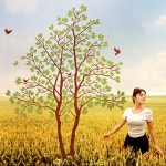 사랑나무(연리지2그루) (완제품C타입) 그래픽스티커 식물 포인트 시트지 - YES24