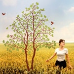 사랑나무(연리지2그루) (반제품A타입) 그래픽스티커 식물 포인트 시트지 - 예스24