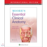 Moore's Essential Clinical Anatomy | Anne Agur | Wolters Kluwer Health - 예스24