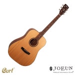 [콜트] 어쿠스틱기타 AD850 (OP)/ 입문자 베스트 통기타 | 기타 | 의정부영창피아노(조은악기사) - 예스24