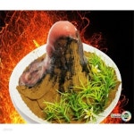 STEAM과학 화산폭발(5인용) | STEAM과학 | 레드포인트 - 예스24