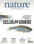 Nature (주간) : 2018년 12월 06일 - YES24