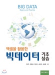 엑셀을 활용한 빅데이터 기초 실습 - 예스24