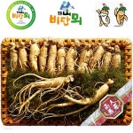 [비단뫼] 금산수삼 1kg/11~13편(왕특) | 수삼 | (주)아이원세븐 - 예스24