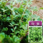 (허브) 타임 씨앗 (200립) 허브씨앗 채소씨앗 새싹 | 화분월드 - 예스24 (허브) 타임 씨앗 (200립)  허브씨앗 채소씨앗 새싹 | 화분월드 - 예스24