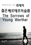 [전자책] 영어원서 읽는 시간 괴테의 젊은 베르테르의 슬픔 The Sorrows Of Young Werther - 예스24